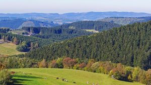 Read more about the article Sauerland