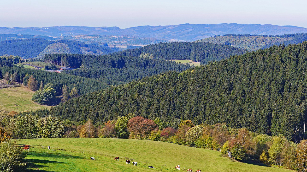 You are currently viewing Sauerland