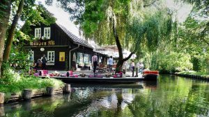 Read more about the article Spreewald