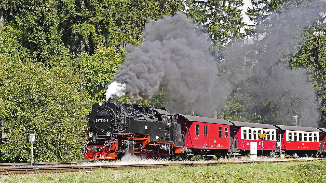 Read more about the article Harz